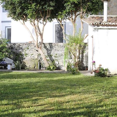 City Center, 200 Meters To Marina, Walk To Everything, Private Yard And Garden Ponta Delgada Eksteriør bilde