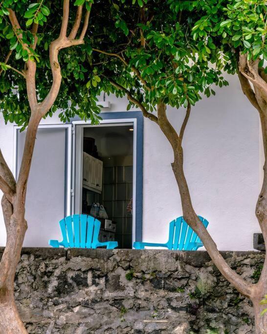 City Center, 200 Meters To Marina, Walk To Everything, Private Yard And Garden Ponta Delgada Eksteriør bilde